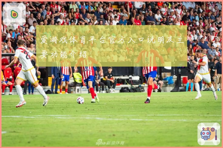 爱游戏体育平台官方入口说明及主要功能介绍